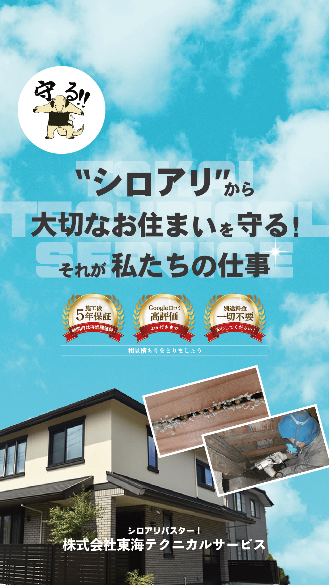 愛知県のシロアリ駆除 評価良い業者 愛知県一宮市 羽アリや予防なら安心安全で安い株式会社東海テクニカルサービス